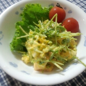 しゃきしゃき豆苗とチーズの南瓜サラダ